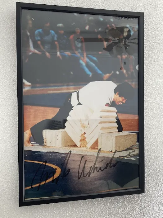 Taido Karate Picture 1