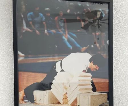Taido Karate