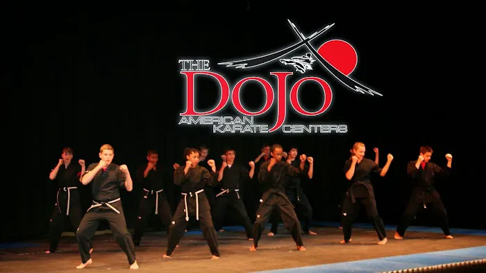 The Dojo American Karate Centers Picture 10