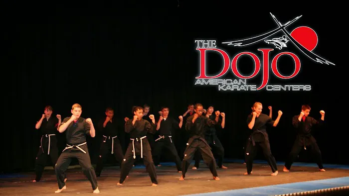 The Dojo American Karate Centers Picture 7