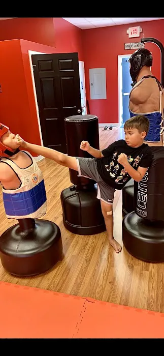 Duluth Martial Arts Center Picture 6