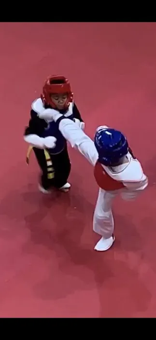 Duluth Martial Arts Center Picture 7