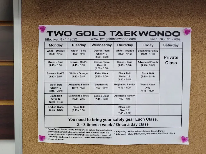 Two Gold Taekwondo Picture 4