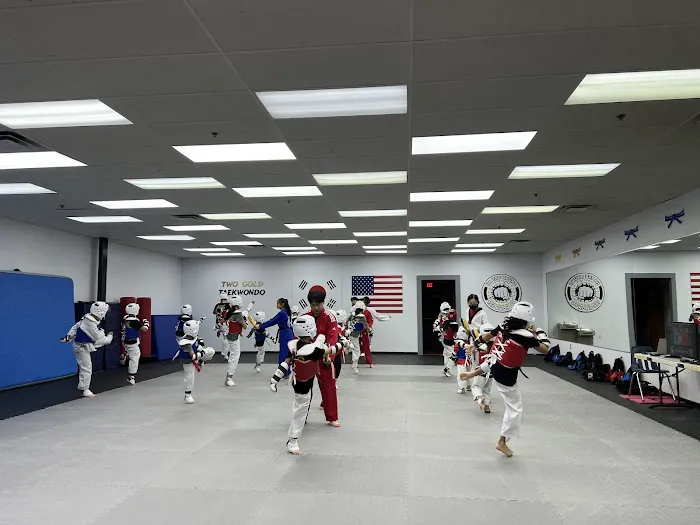 Two Gold Taekwondo Picture 5