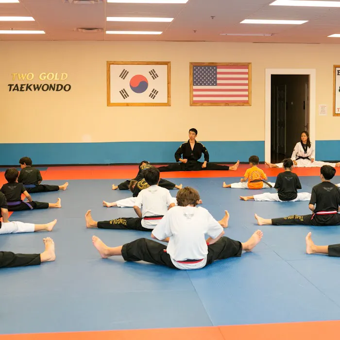 Two Gold Taekwondo Picture 10