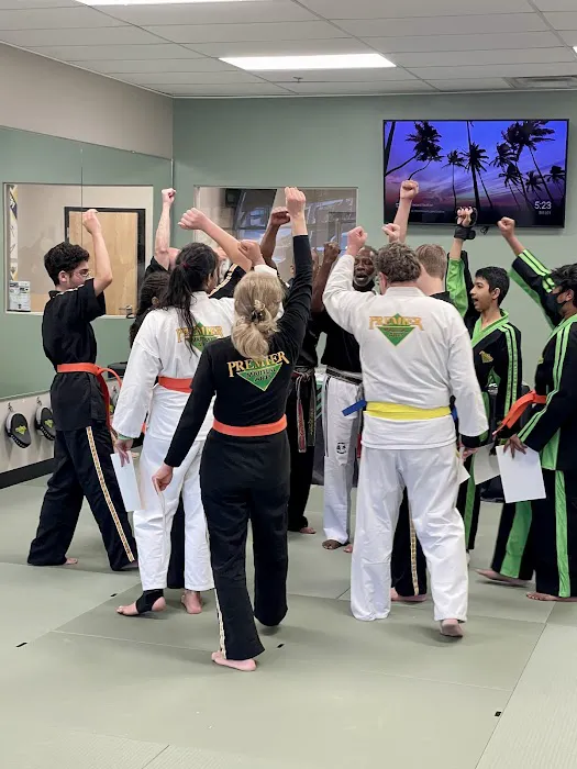 Premier Martial Arts Johns Creek / Alpharetta Picture 1