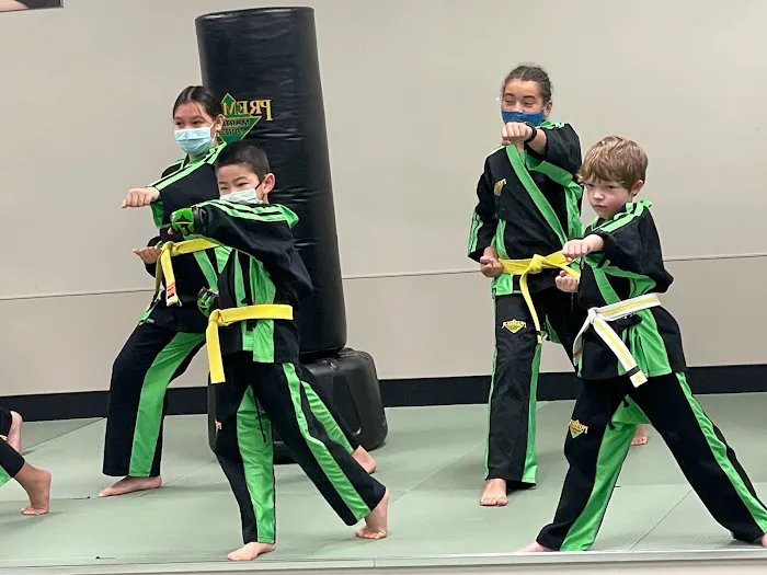 Premier Martial Arts Johns Creek / Alpharetta Picture 6