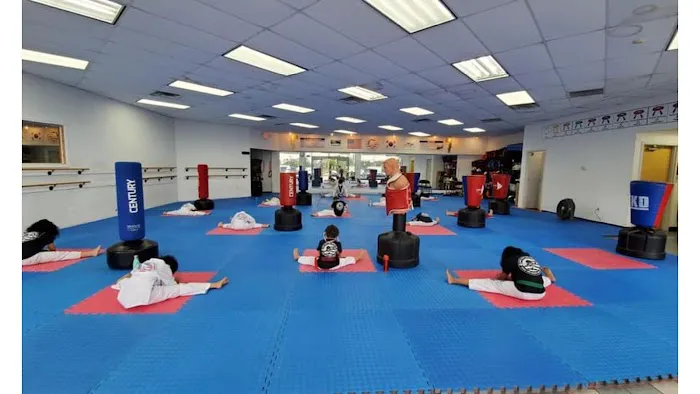 Sae Han Taekwondo Picture 4