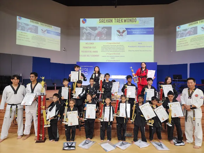 Sae Han Taekwondo Picture 6