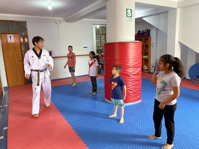 K-TOP WORLD TAEKWONDO Picture 5