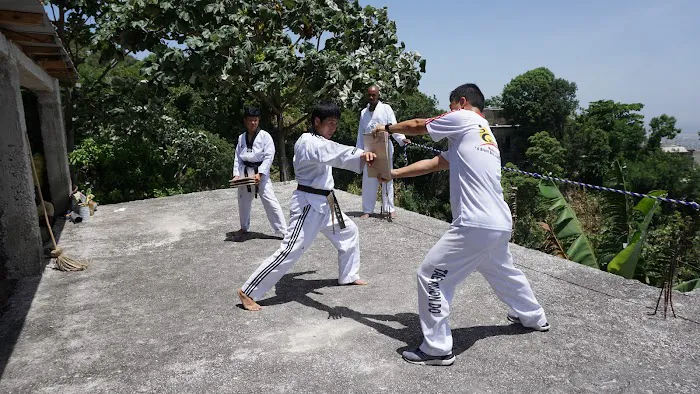 K-TOP WORLD TAEKWONDO Picture 3