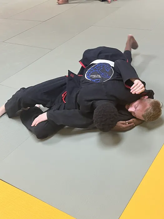 Janzen Jiu-Jitsu Picture 8