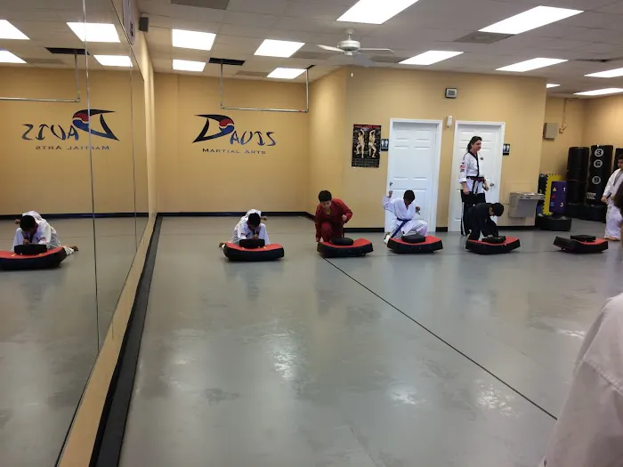 Davis Martial Arts Picture 4