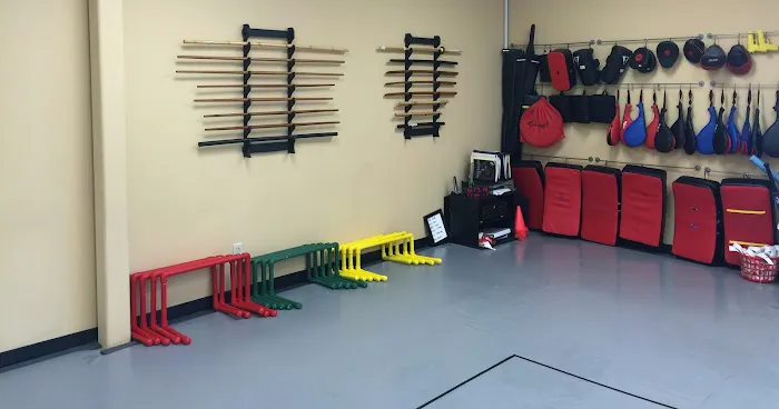 Davis Martial Arts Picture 8