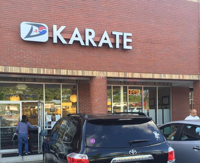 Davis Martial Arts Picture 7