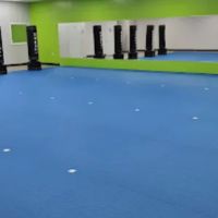 San Brothers Martial Arts ico