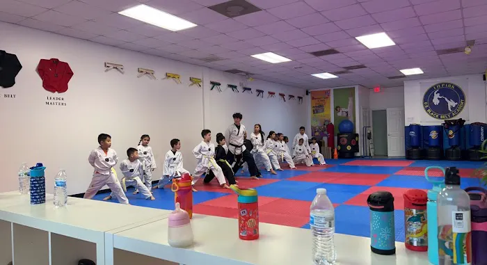 Master Lee's Top Class Taekwondo / US Black Belt Academy Picture 4