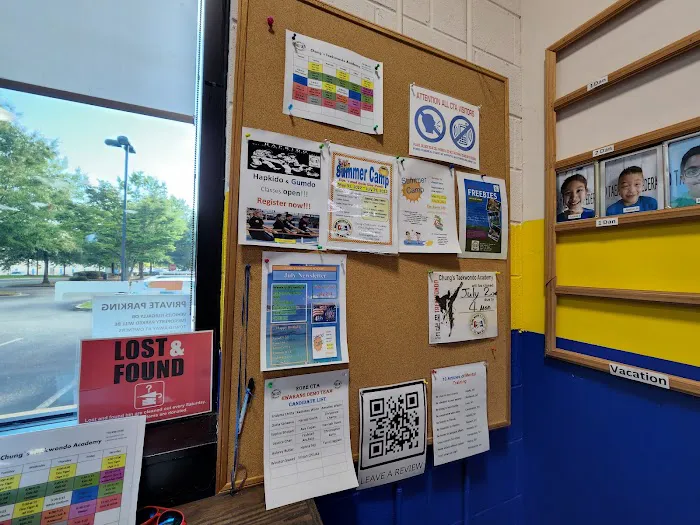 Chung's Taekwondo Academy After school program Picture 5