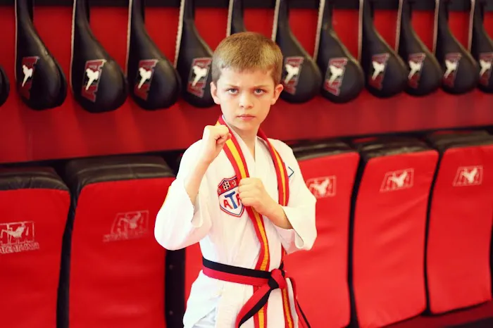Karate Atlanta Milton Picture 1