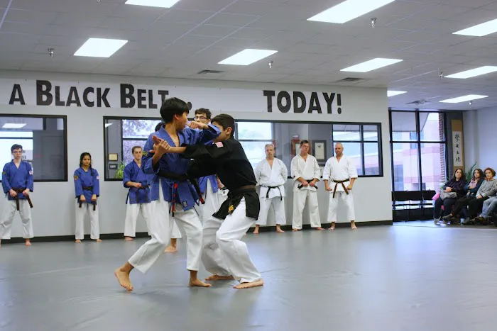 Crabapple Martial Arts Academy Picture 2