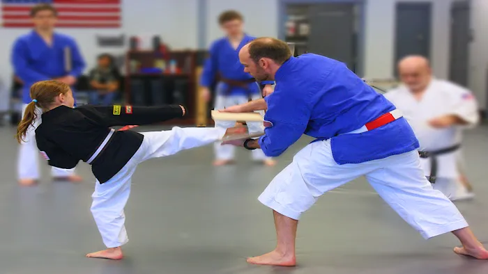 Crabapple Martial Arts Academy Picture 8