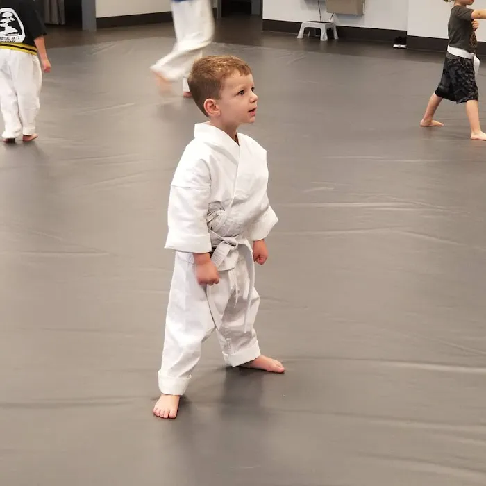 Crabapple Martial Arts Academy Picture 7