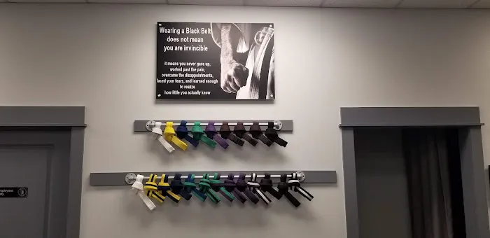 Crabapple Martial Arts Academy Picture 9