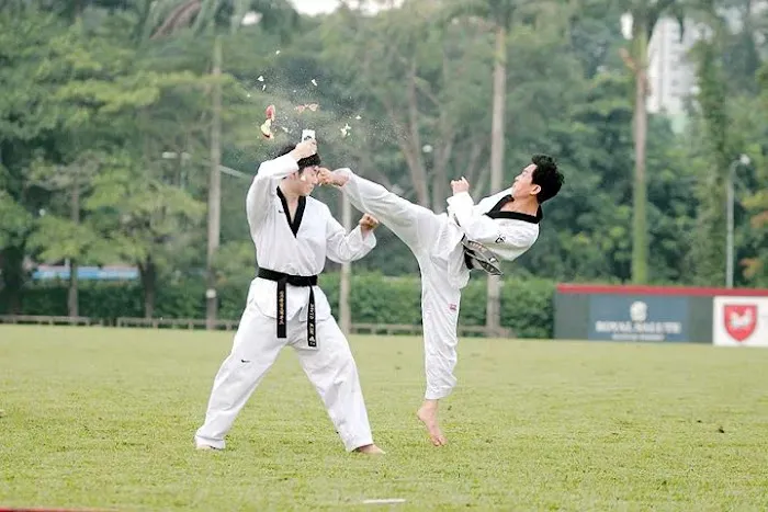 YUSABU TAEKWONDO MARTIAL ARTS Picture 2