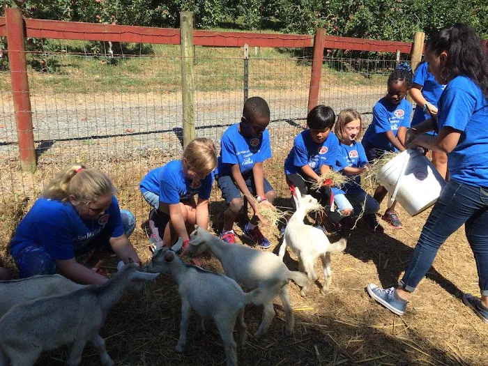 Taekwondo of Woodstock, Inc. Picture 4