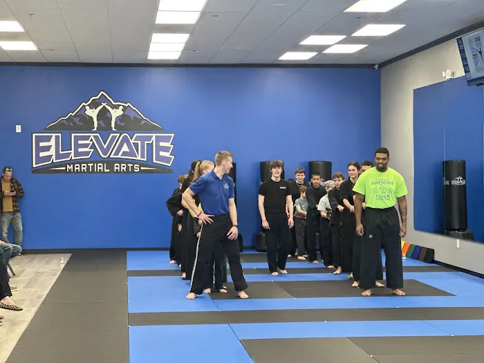 Elevate Martial Arts Woodstock Picture 3