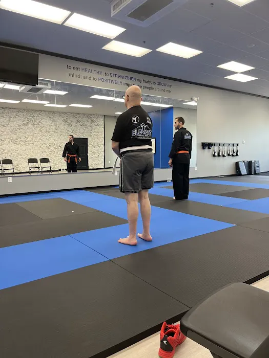 Elevate Martial Arts Woodstock Picture 6