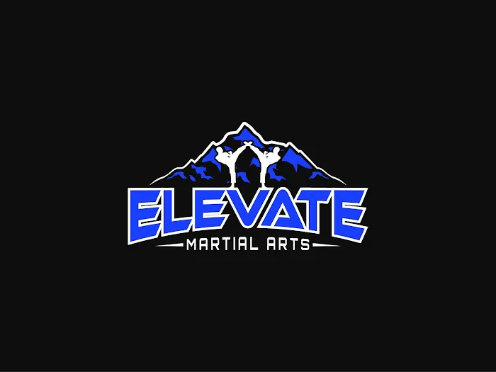 Elevate Martial Arts Woodstock Picture 4