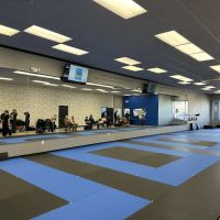 Elevate Martial Arts Woodstock ico