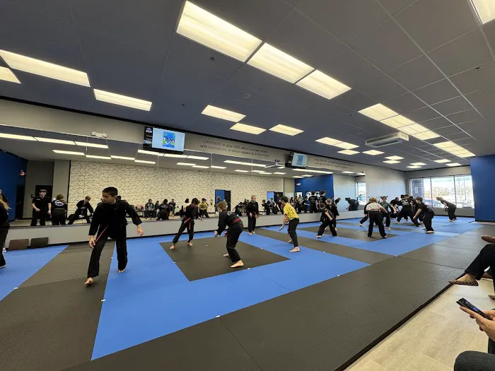 Elevate Martial Arts Woodstock Picture 5