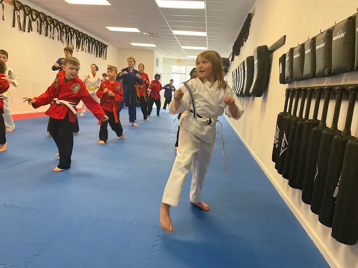 Choi Kwang Do Martial Arts Canton Picture 2