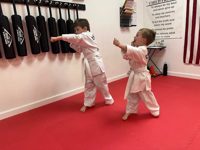 Choi Kwang Do Martial Arts Canton Picture 8