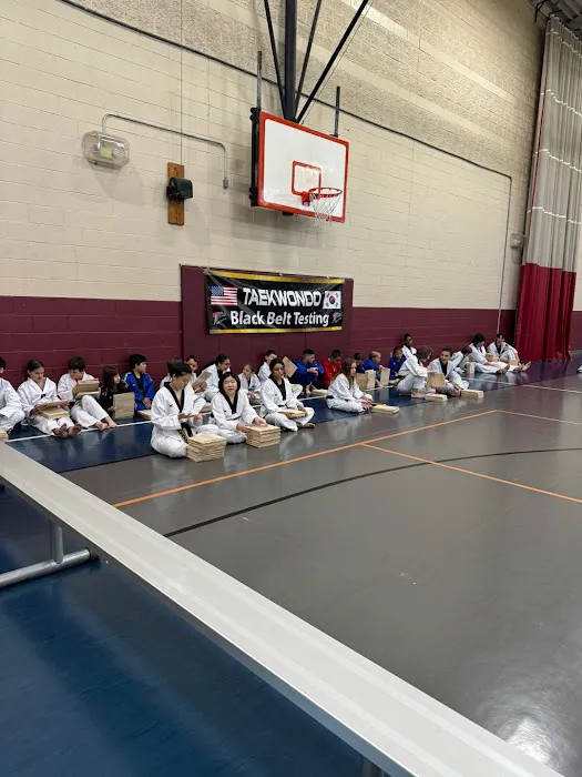 Taekwondo Education Martial art Hickory flat (Master kim's Taekwondo Education) Picture 5