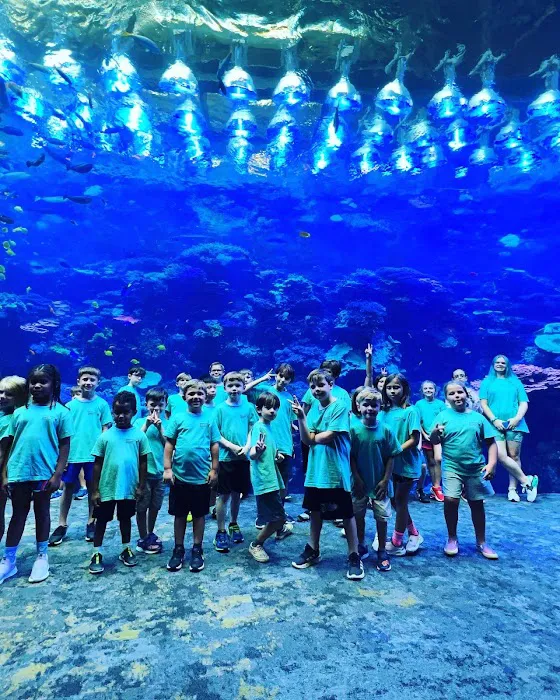 Taekwondo Education Martial art Hickory flat (Master kim's Taekwondo Education) Picture 8