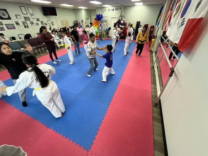 Survive Taekwondo Fitness Picture 3