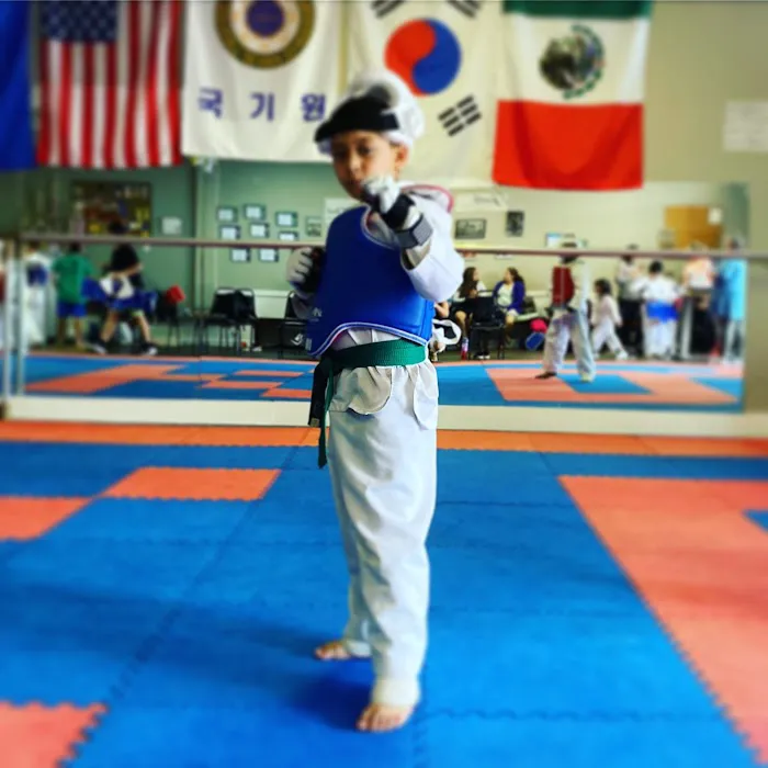 Survive Taekwondo Fitness Picture 6