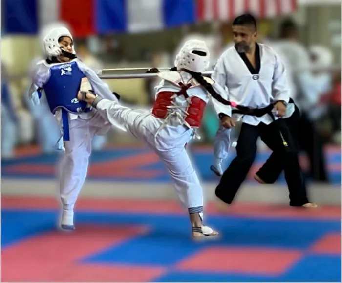 Survive Taekwondo Fitness Picture 1