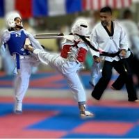 Survive Taekwondo Fitness ico