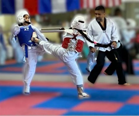 Survive Taekwondo Fitness