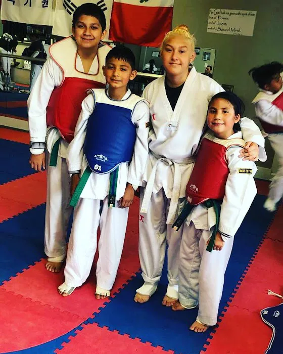 Survive Taekwondo Fitness Picture 8