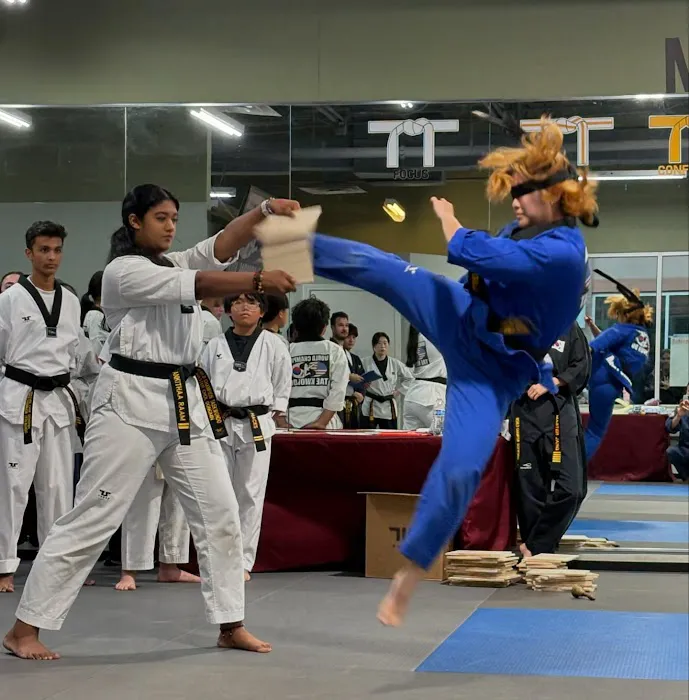 World Champion Taekwondo Martial Arts Woodstock Picture 2