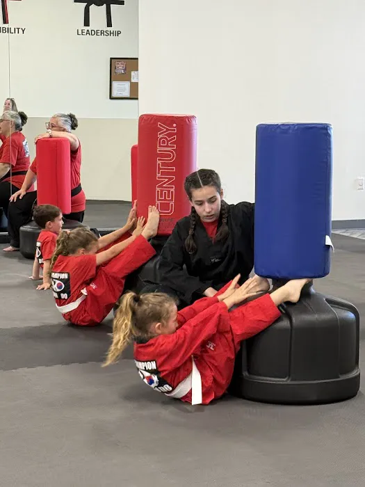 World Champion Taekwondo Martial Arts Woodstock Picture 9