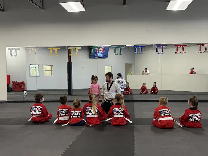 World Champion Taekwondo Martial Arts Woodstock Picture 8