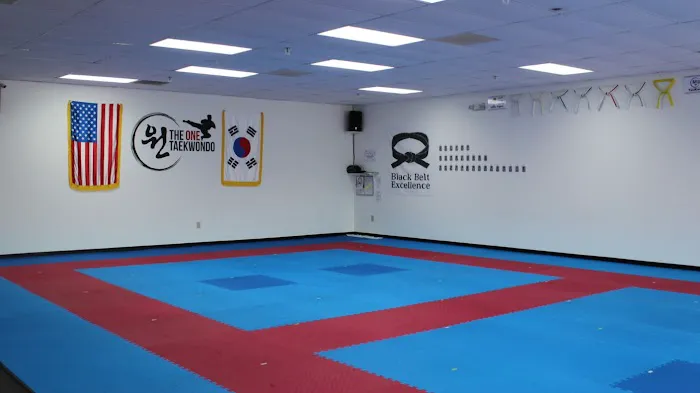 THE ONE TAEKWONDO CENTER Picture 3