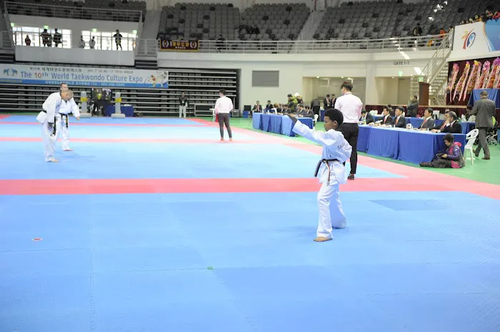 Kim Brothers Tae Kwon Do and Kickin Kids Picture 3