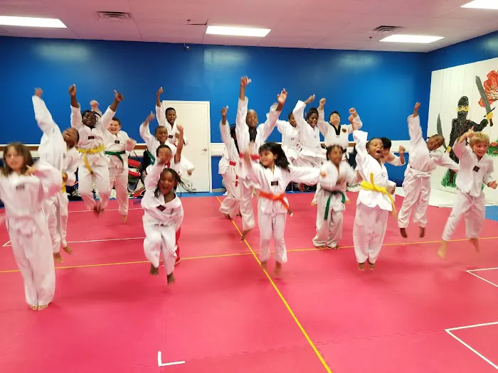 Kim Brothers Tae Kwon Do and Kickin Kids Picture 6